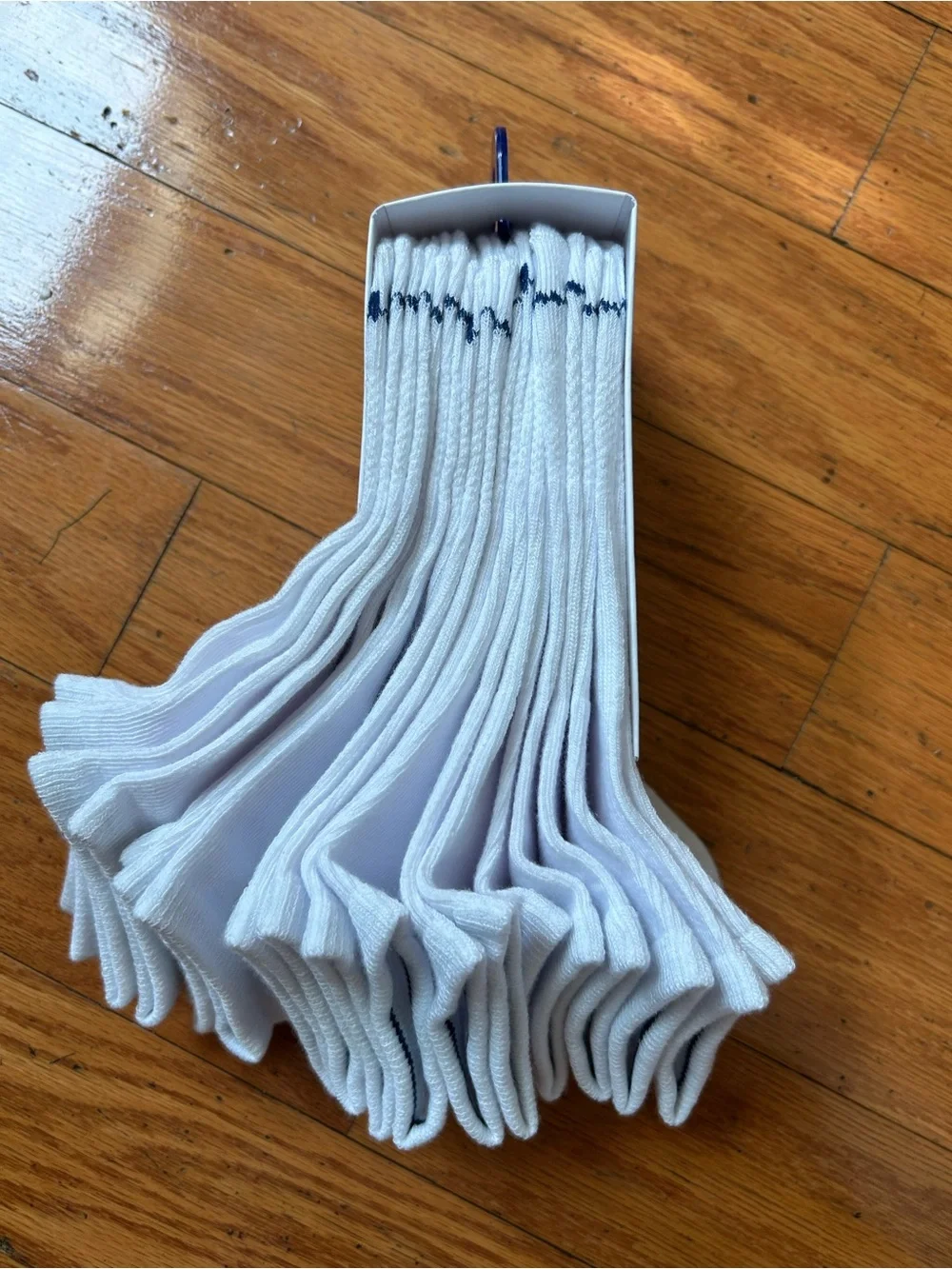 Champion men’s performance lightweight Low Cut Socks  (10 Pair)